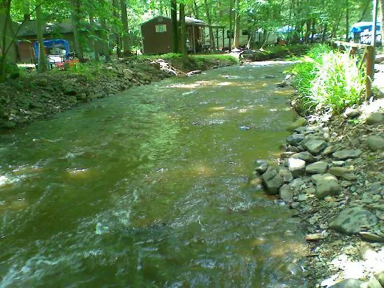 Council Cup Campground 4