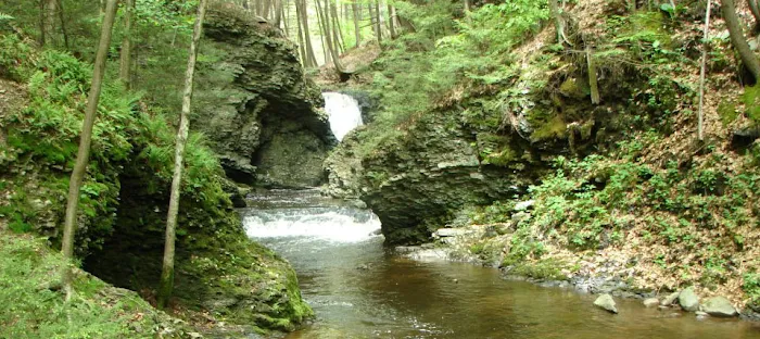 Council Cup Campground 7