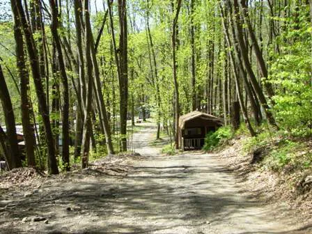 Council Cup Campground 6