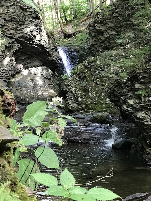 Council Cup Campground 1