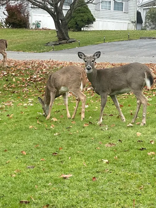 Echo Valley Estates 5