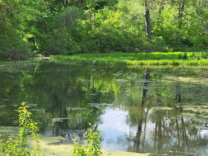 Frances Slocum State Park Campground 9