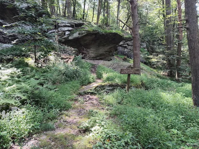 Frances Slocum State Park Campground 7