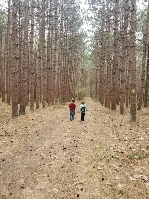 Frances Slocum State Park Campground 6