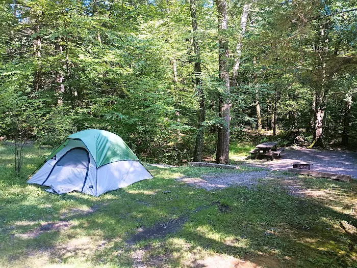Rocky Knoll Campground Frances Slocum State Park 1