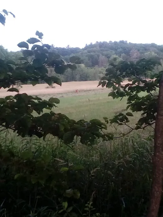 Valley View Mobile Home Park, Inc. 3