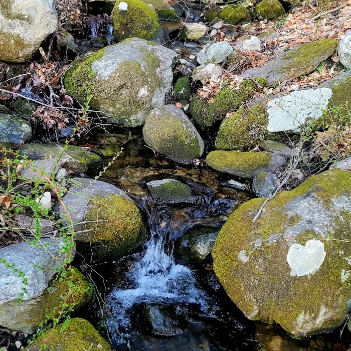 Freedom Farm Homestead, Inc 3