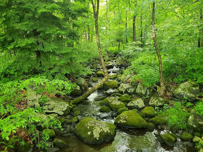 Cozy Hills Campground 9