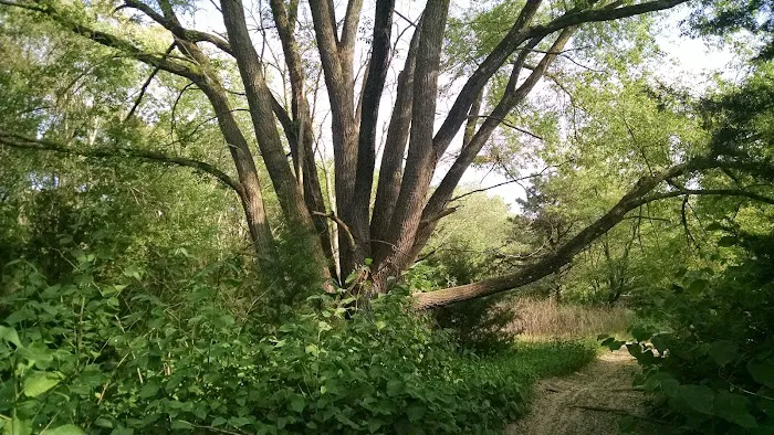 Seashore Line Camper Resort Condominium Association, Inc. 8