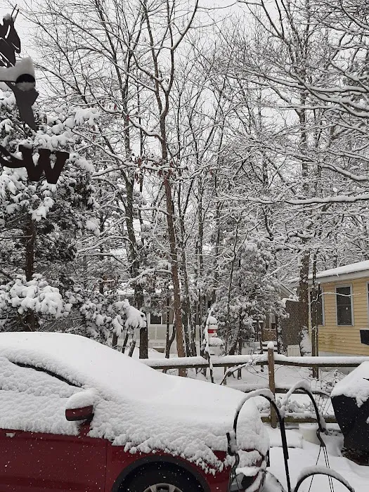 Seashore Line Camper Resort Condominium Association, Inc. 3