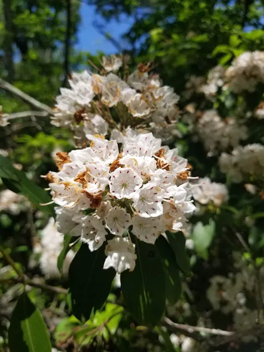 Seaville Shores Resort 1