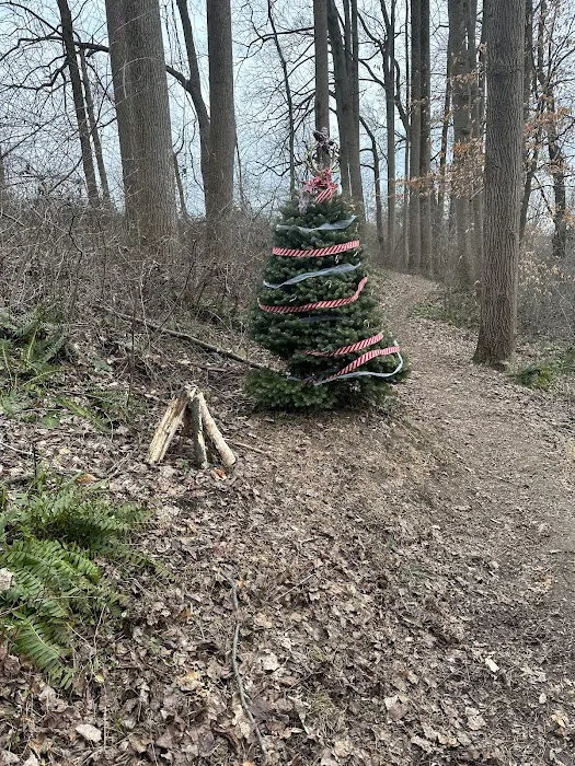 McCloskey Youth Campsite 1