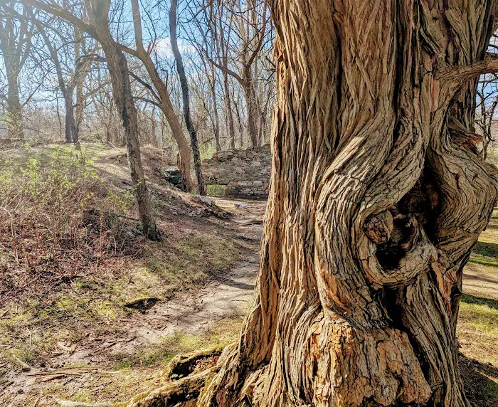 McCloskey Youth Campsite 2