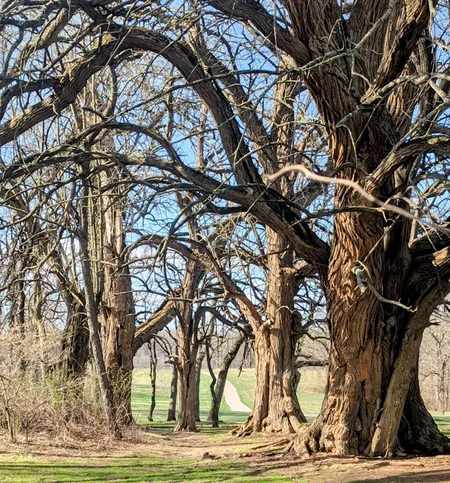 McCloskey Youth Campsite 9