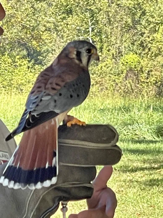 Cockerham Youth Campsite 1