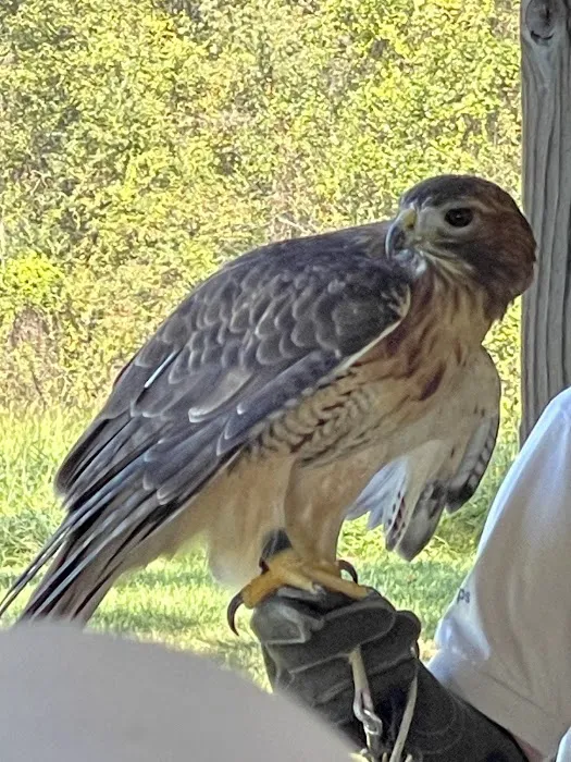 Cockerham Youth Campsite 0