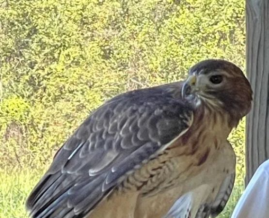 Cockerham Youth Campsite