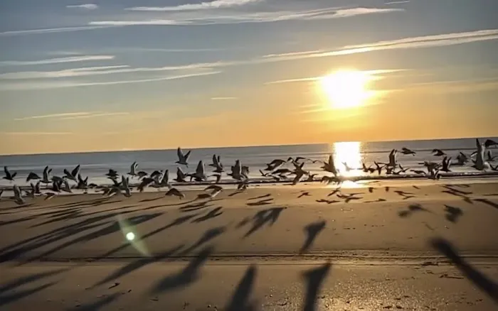 Ocean Beach Trailer Resort 2