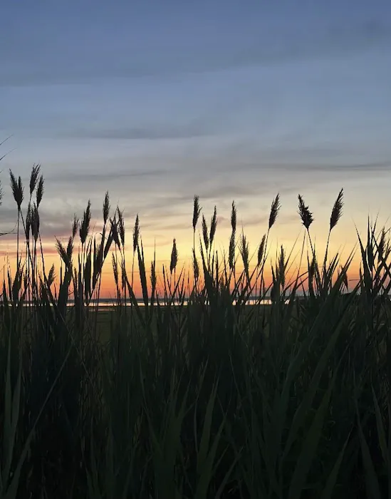 Ocean Beach Trailer Resort 3