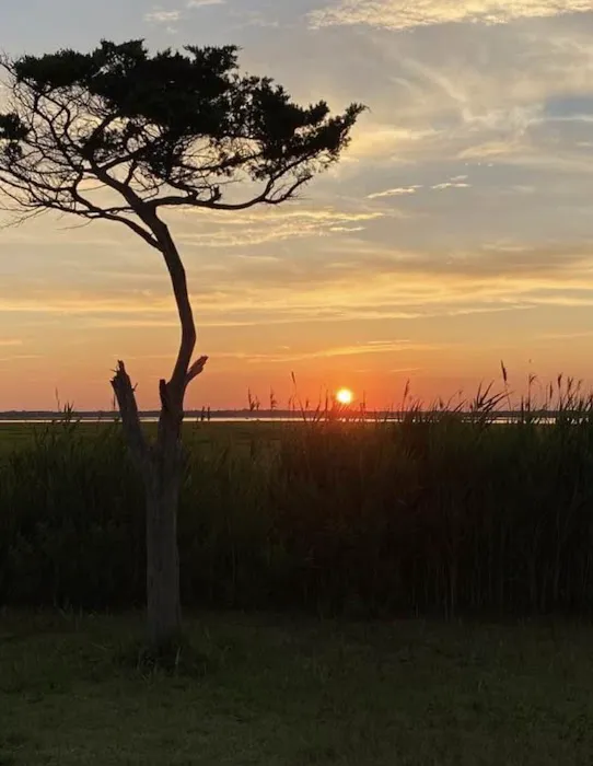 Ocean Beach Trailer Resort 1