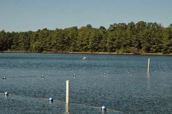 Thousand Trails Lake & Shore 2