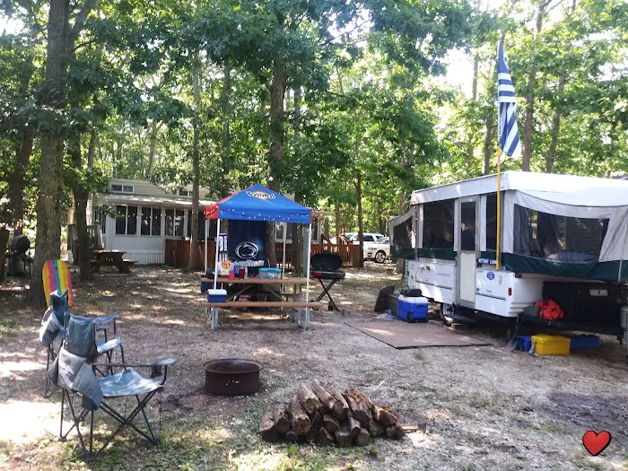 Sea Grove Camping Resort 3