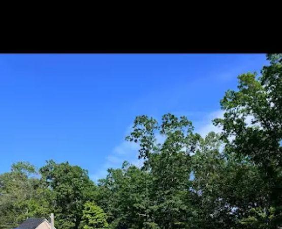 Tamerlane Campground