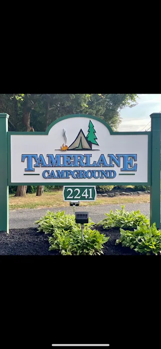 Tamerlane Campground 4