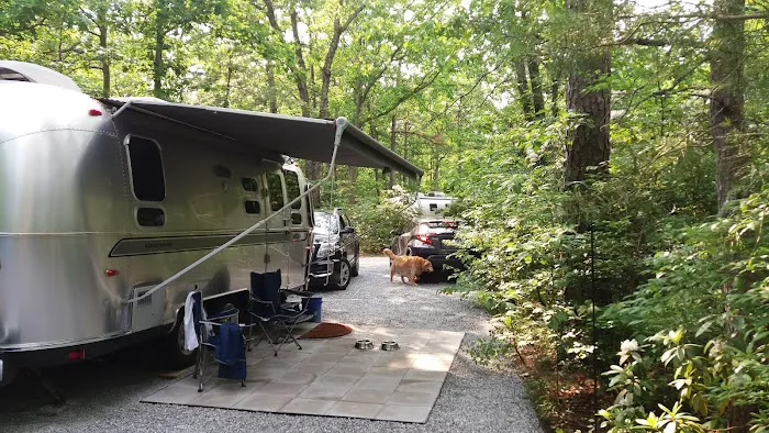 Jersey Shore Haven Airstream Park 3