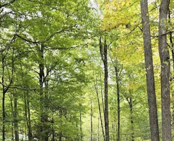 Valleyview Farm & Campgrounds