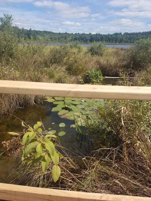 Reflection Lakes Property Inc 4