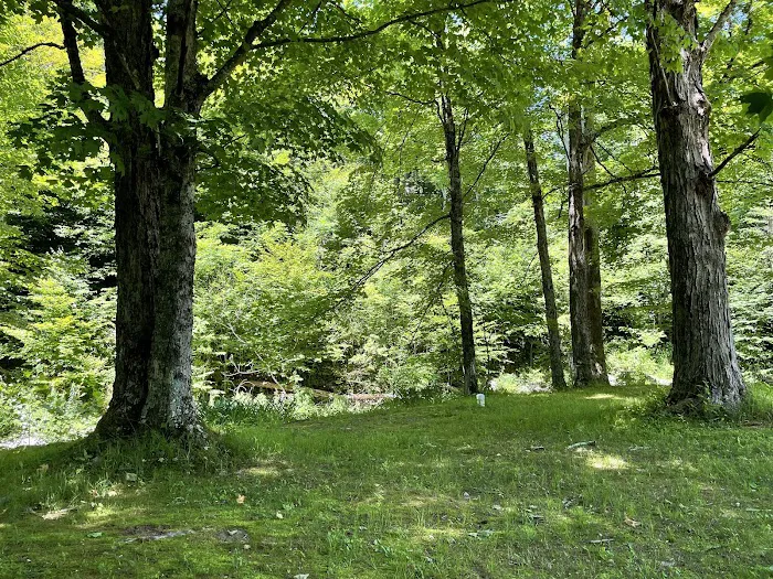 Pleasant Valley Campground 7