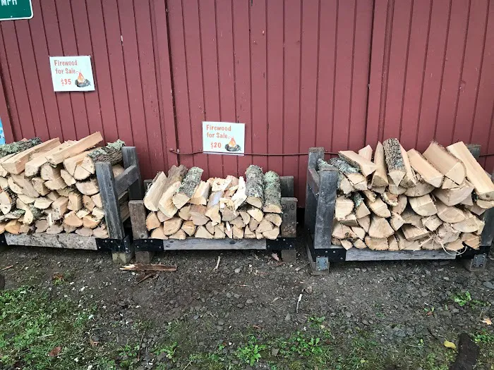 Butternut Grove Campsite 5