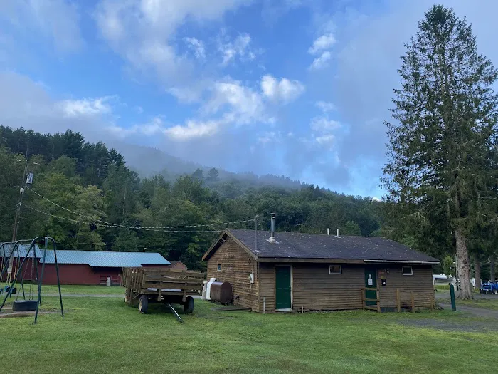 Russell Brook Campsites 2