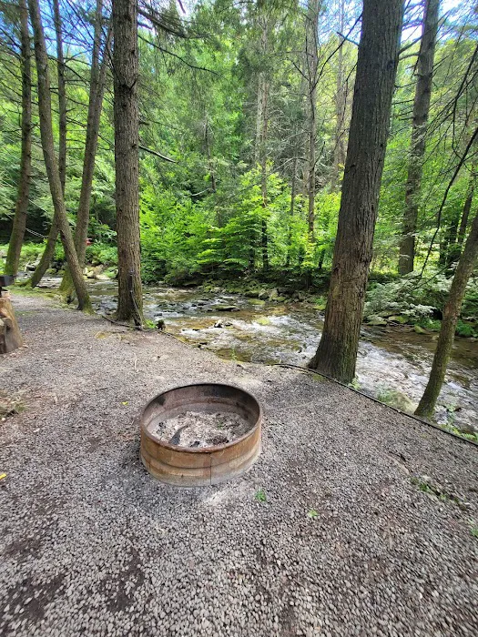 Russell Brook Campsites 7