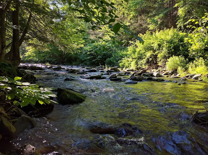 Russell Brook Campsites 6