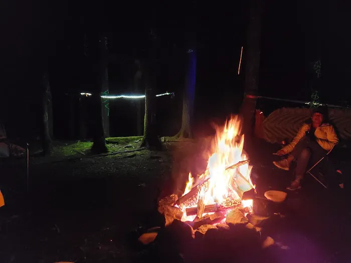 Russell Brook Campsites 1