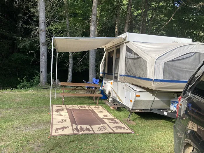 Russell Brook Campsites 5