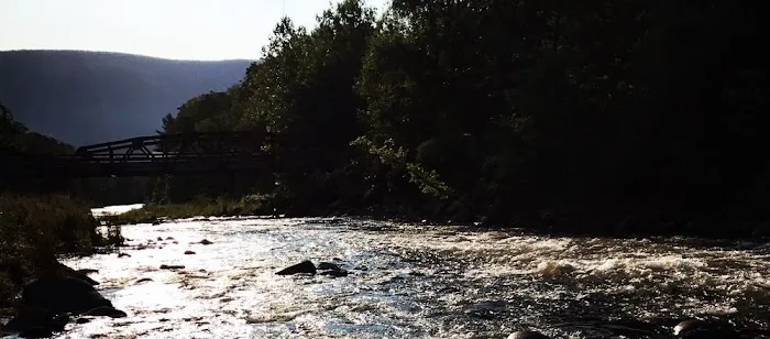 Phoenicia Black Bear Campground 4