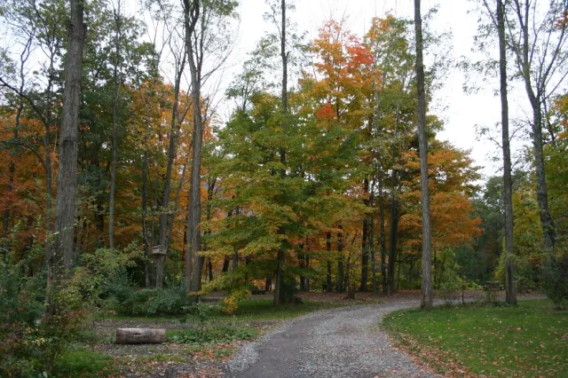 Phoenicia Black Bear Campground 2