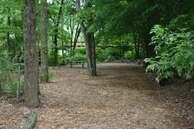 Phoenicia Black Bear Campground 7