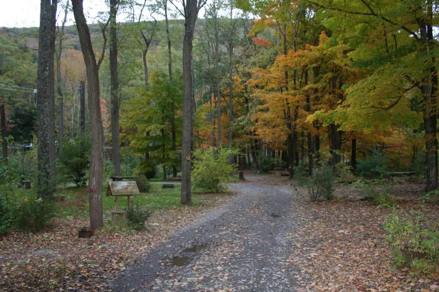 Phoenicia Black Bear Campground 5