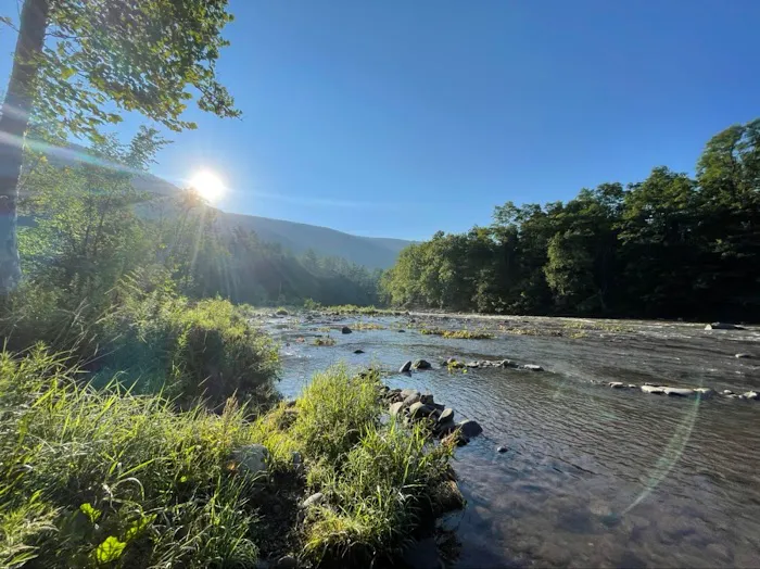 Phoenicia Black Bear Campground 6