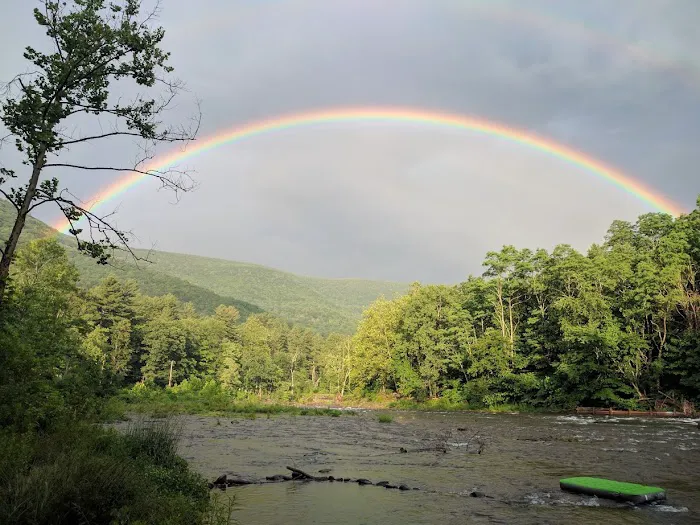 Phoenicia Black Bear Campground 3