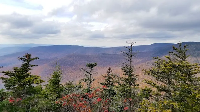 Devils Path Trail. Camp Area 5