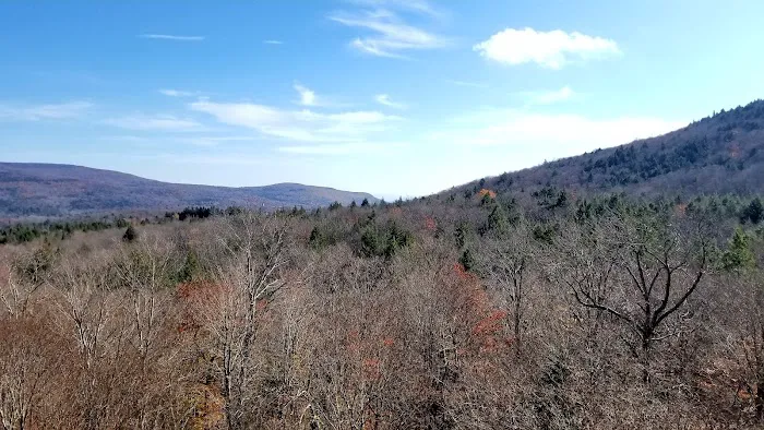 Devils Path Trail. Camp Area 0