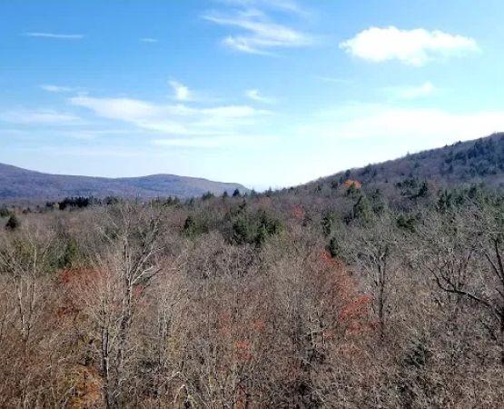 Devils Path Trail. Camp Area
