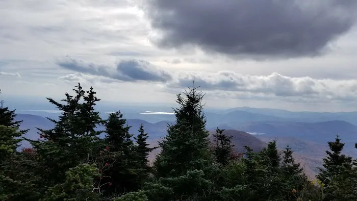 Devils Path Trail. Camp Area 1
