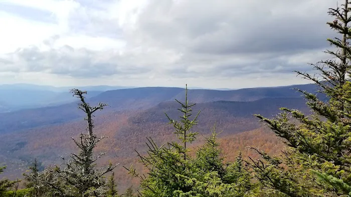 Devils Path Trail. Camp Area 2