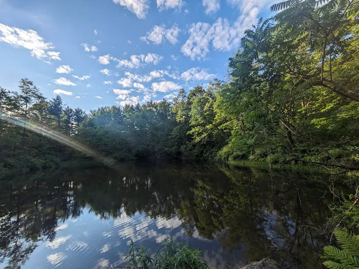 Allaben Campground 3